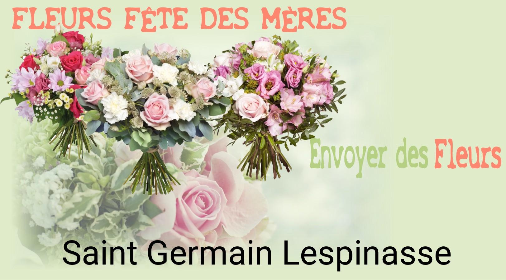 Bouquet de Fête des Mères livré à Saint-Germain-Lespinasse